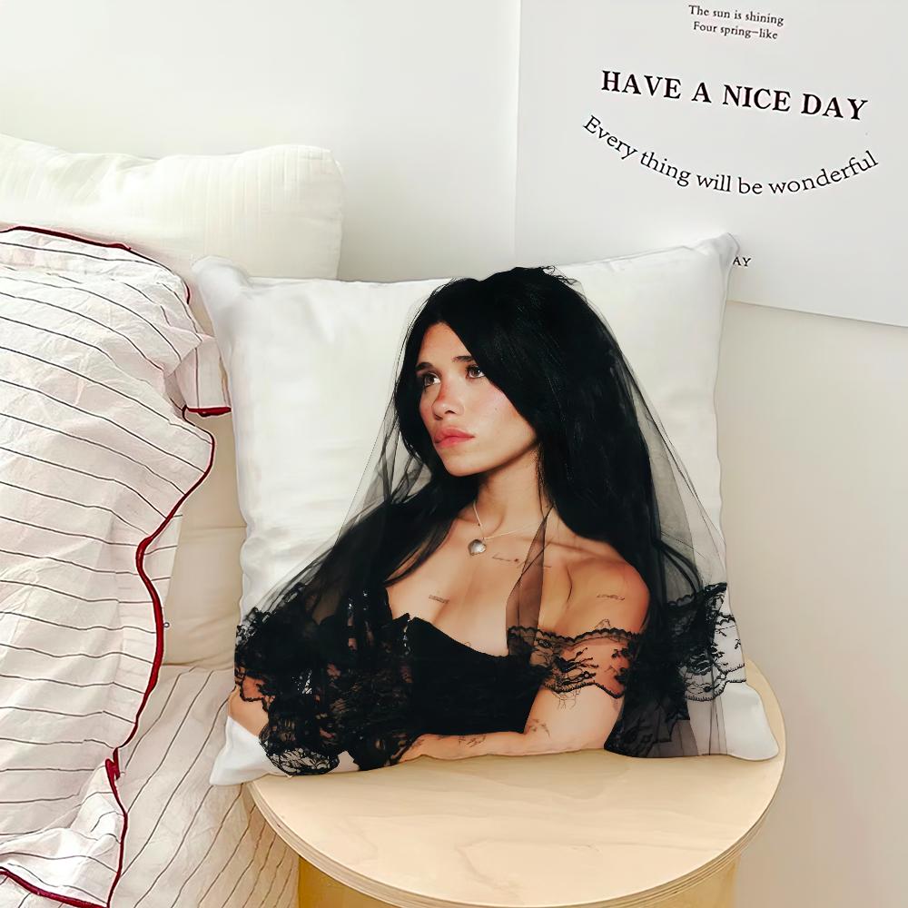 singer nNessa Barrett Aftercare Comfort soft Pillowcase for hogar Sofa Living Room Home bedside Decor pillowcovers Gift