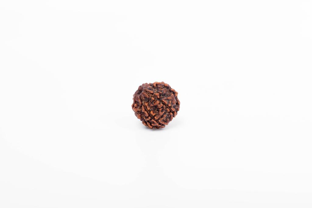 6-Mukhi Nepalesischer Rudraksha-Samen | Zertifizierter Echter Rudraksha für Spirituelles Wachstum | Echtes Heiliges Korn für Meditation & Heilung von Navratan Gems