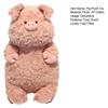 40cm Exquisite Cartoon Pig Pillow Plushie Fully Filled Companion