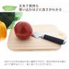 TOSARYU Shimanto Hinoki Tabletop Cutting Board, Square, Small