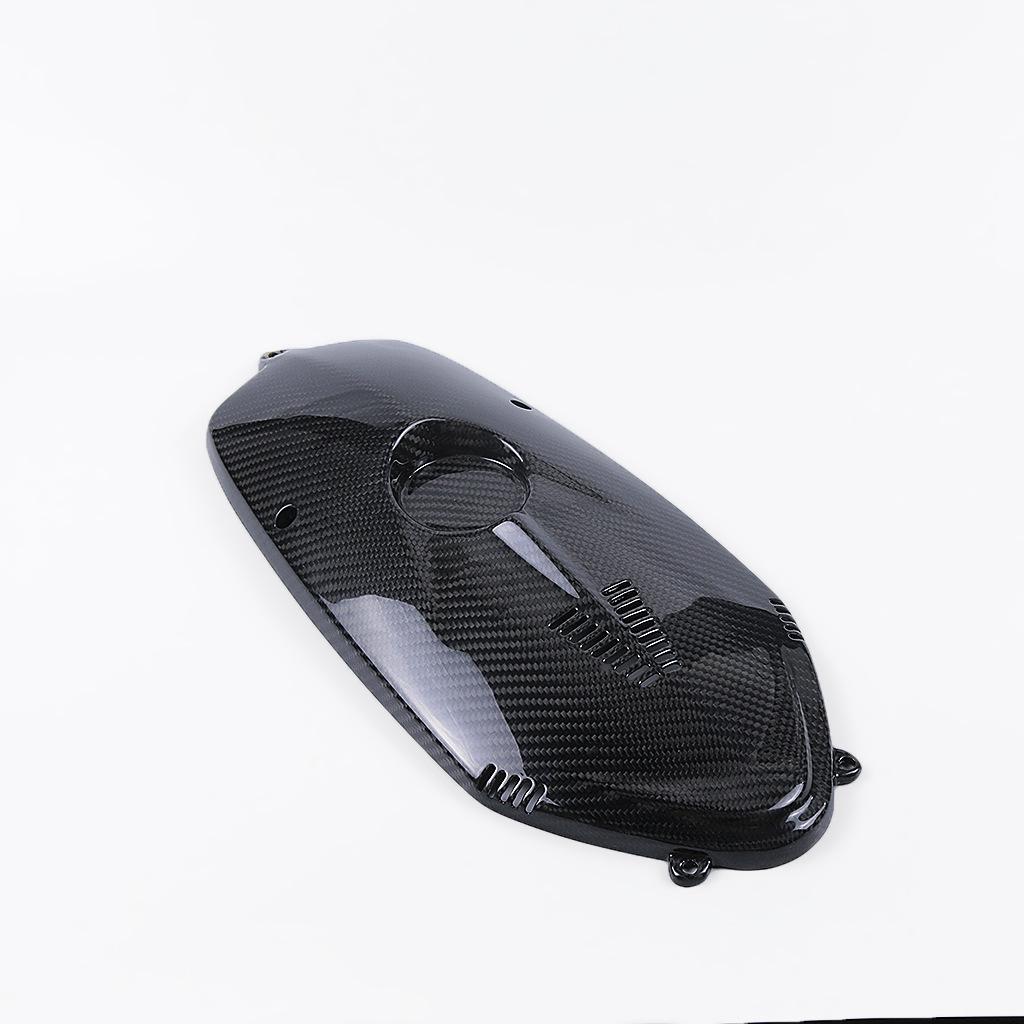 BMW R Nine T (2015-2016) Carbon Fiber Engine & Water Cooler Cover