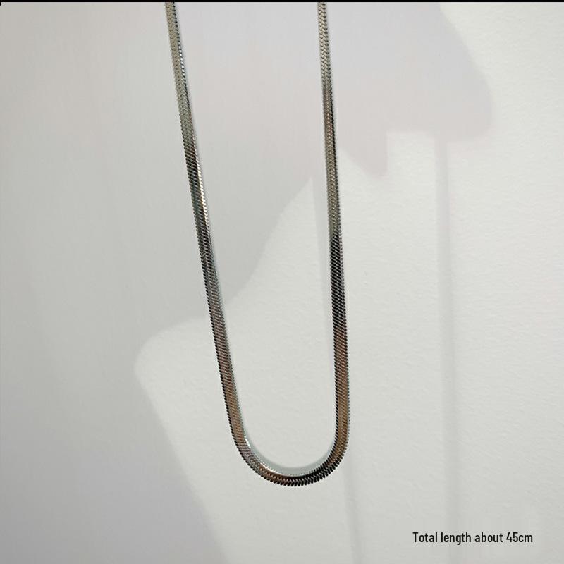 Titanium Steel Snake Bone Necklace - Women's Simple Luxury Clavicle Chain, European & American Versatile Style.