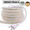 240 LEDs/M High Brightness LED Strip Light 220V Waterproof RGB Warm White SMD5730 Home Decoration Rope Light