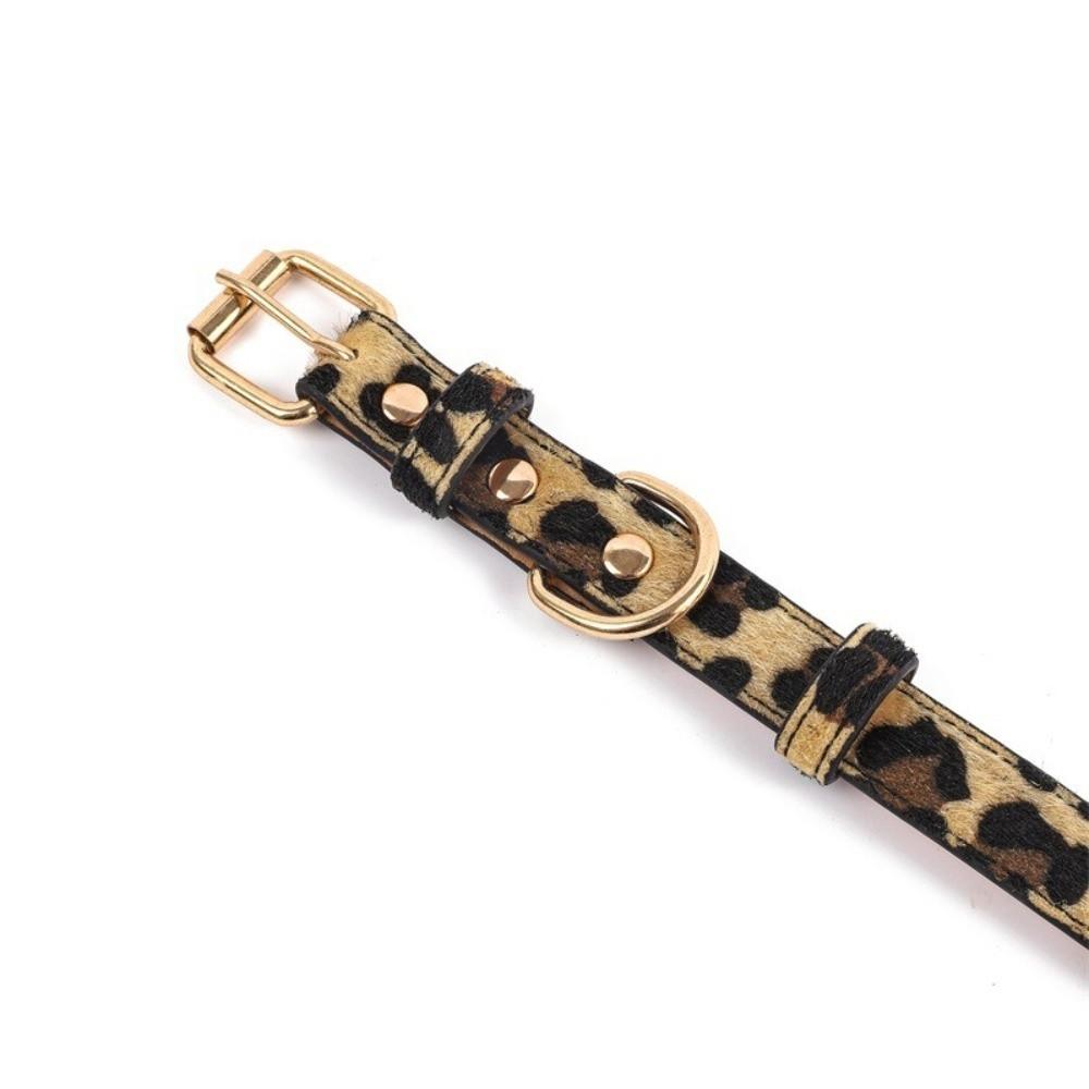 Pet Walking Dog Collar PU Leather Leopard Dog Collar Fashionable Pet Collar Small Medium Dogs