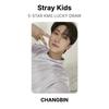 Stray Kids 5-STAR KMS LUCKY DRAW Official Photocard