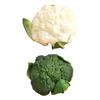 Artificial Vegetable Photography Prop Lifelike Simulation Broccoli Vegetable Model Realistic for Supermarket Shop Centerpiece