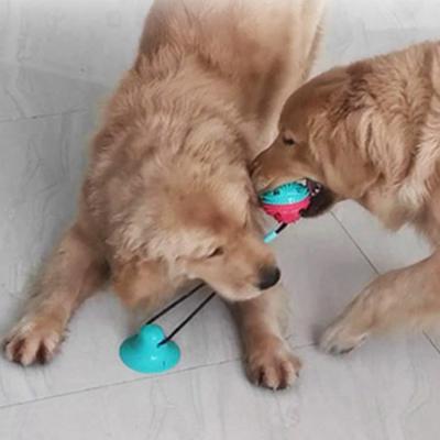 Dingdong Pet Pet Suction Tug Snack Ball B Type Round 8 X 43 Cm, Mint, 1 Piece