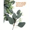 Artificial Eucalyptus Leaves Stems with White Seeds Short Silver Dollar Fake Green Leaf Stem Artificial Flowers Greenery Stems Plants
