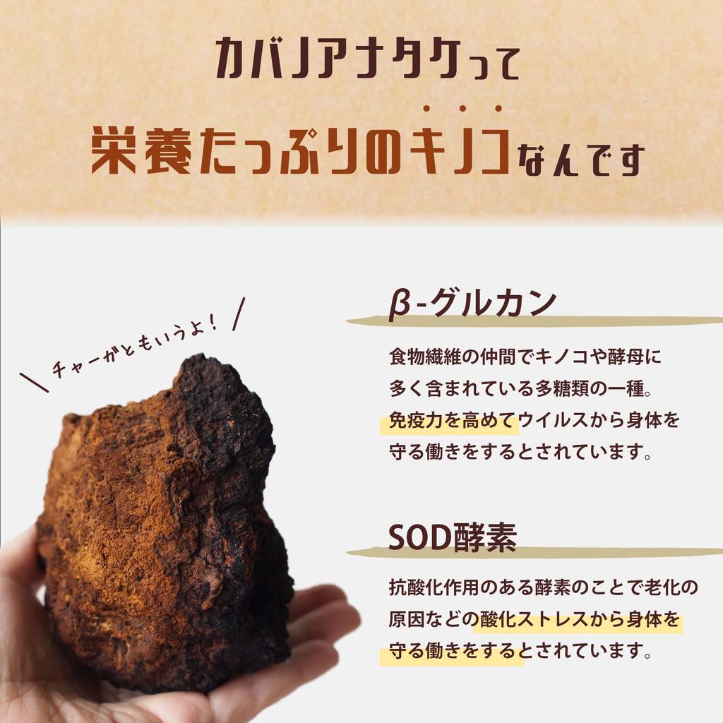 Chaga Made with Natural Chaga Includes Tea Bags [Kabatake Tea] Hokkaido-Grown Tea, 100g, 100% Mushrooms, 1.5-2mm Grains,