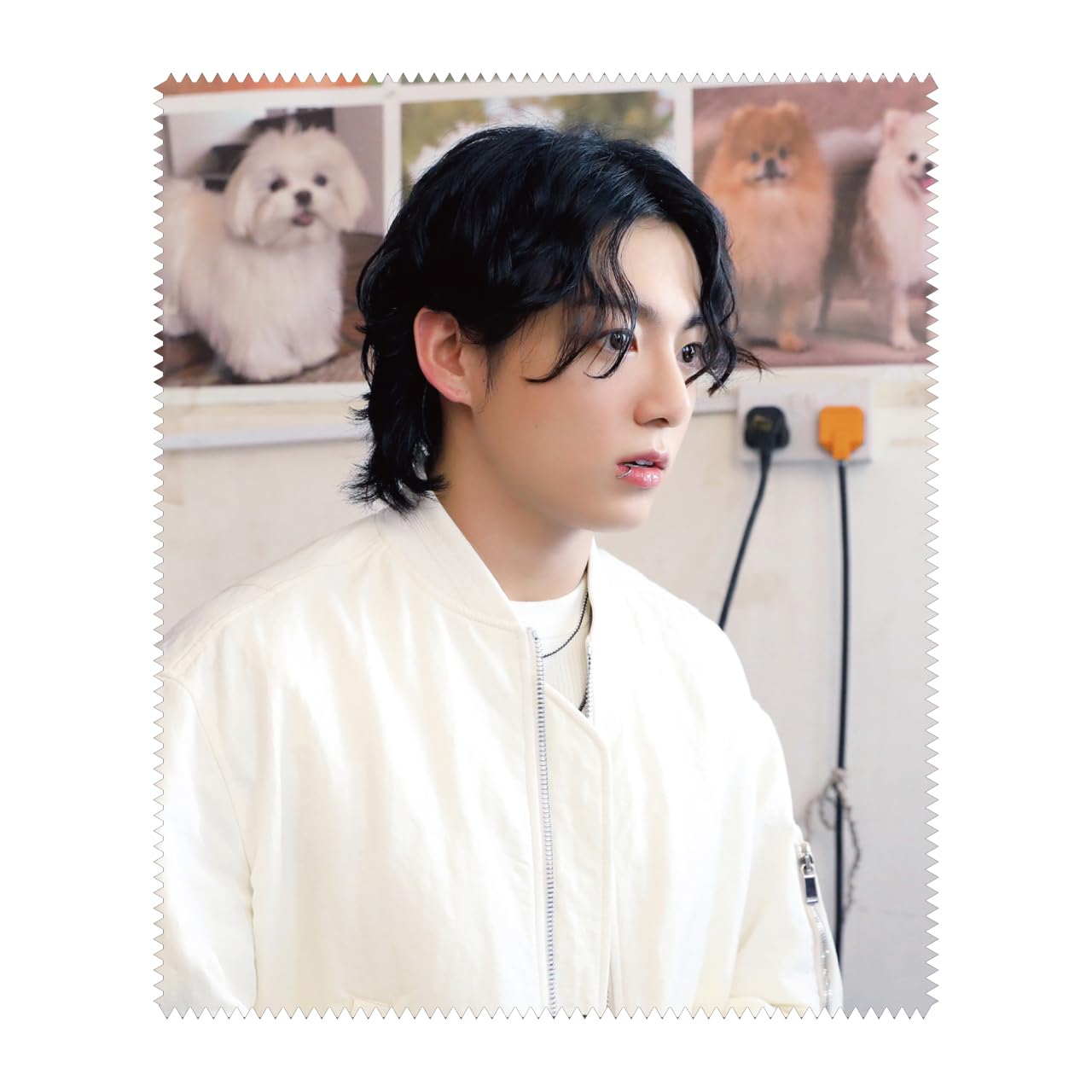 

Чистящая салфетка для очков JUNGKOOK JUNGKOOK [Очиститель для очков] (Чонгук 20)