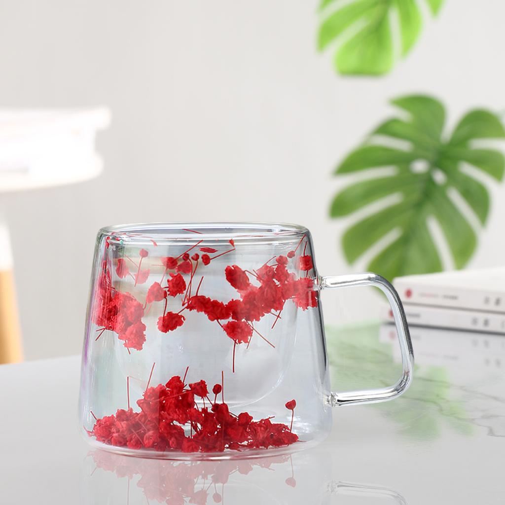 200ML Double Walled Glass Cups with Real Dried Flowers Heat Resistant Clear Coffee Mugs Floral Design Tea Cups for Elegant Sipping