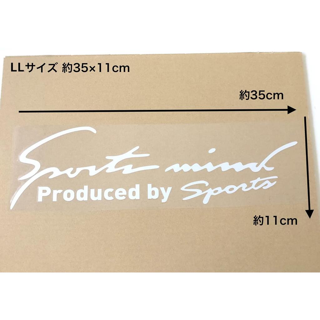 Sports Mind Car Motorcycle Sticker Decal Sticker Universal Side Dress Up Sports Mind 8 Colors 4 Sizes Letters White LL Size 35 X (All Silver, 11cm)