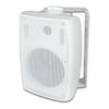 Tianlai 6.5" Wall-Mounted High-Power Speaker with Moisture-Proof Horn for Public Address Systems