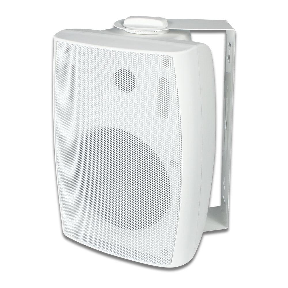

5.25 Wall-Mounted Speaker for Public Address and Background Music