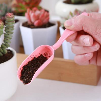 Four Piece Set Of Garden Tools, Succulent Plant Shovel And Seedling Mover, Colored Plastic Gardening Punching Tool