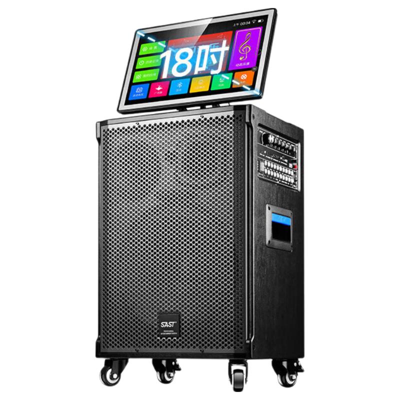 SAST Portable KTV Karaoke Speaker System CN plug (adapter included) (CN version)