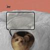 Cat Bed Tunnel 2-in-1 Plush Warm Kitten Cave Warming Cat Bed For Pet Parents Animal Lovers Cold Weather Indoor Home Office