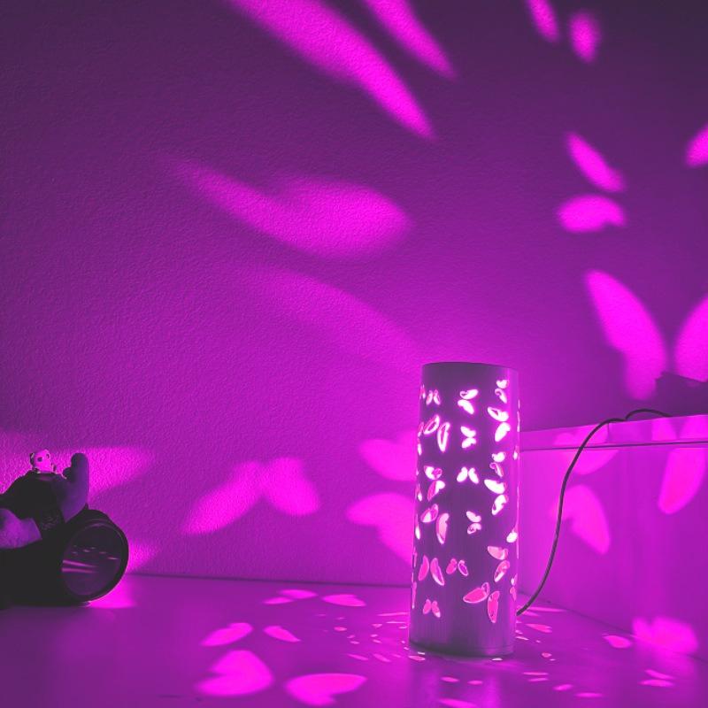 New Creative Decorative Table Lamp USB Projection Lamp Butterfly Shadow Decorative Lamp Floor Lamp.