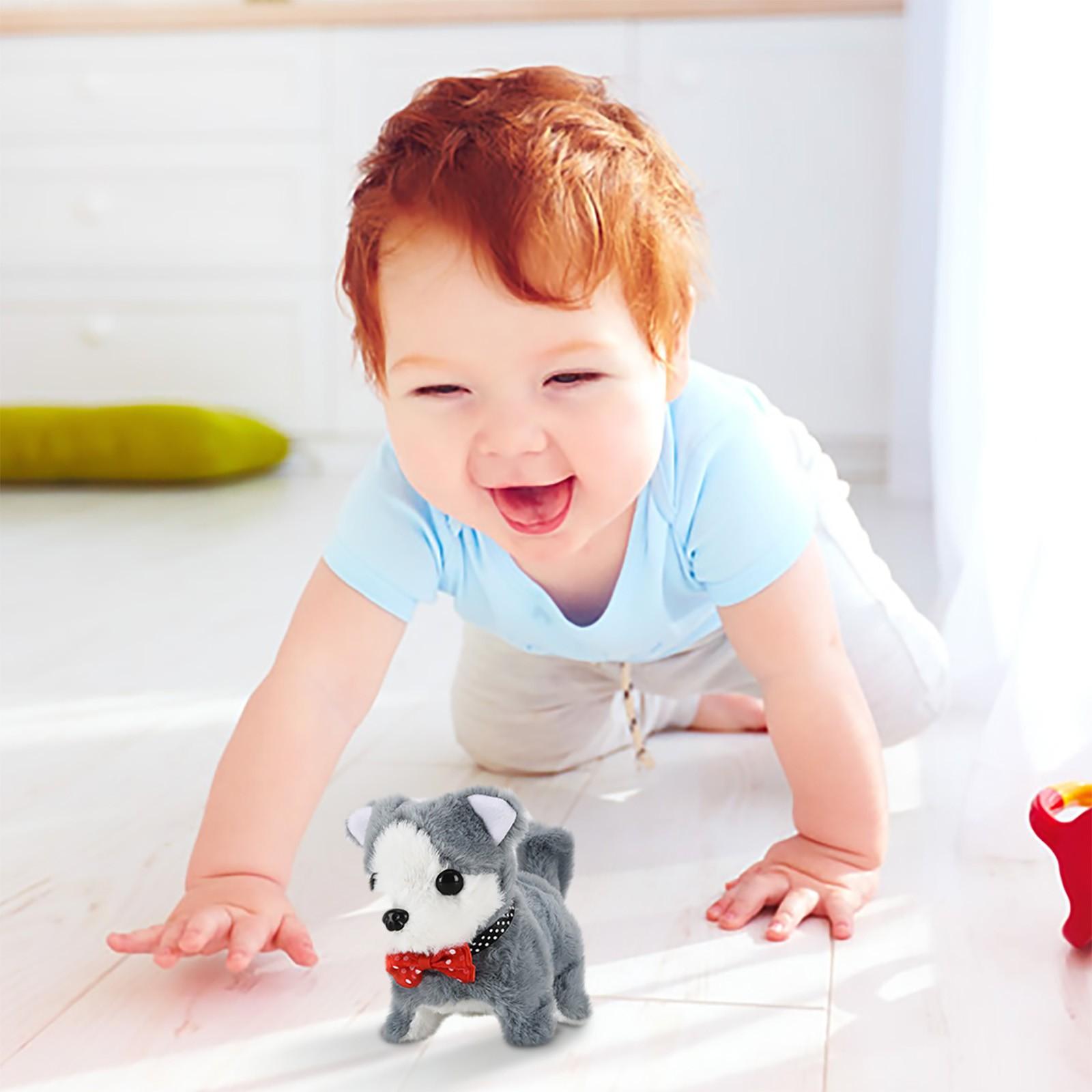 

Электрическая игрушка для собак Плюшевая мягкая удобная интересная реалистичная игрушка для собак One Size