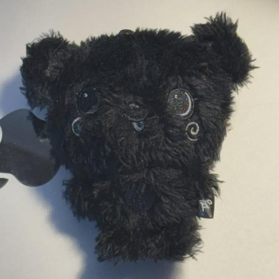 

Secret Black Pang Y Nct Wish Color Wishdoll