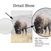 Buffalo Wall Art Bison Poster and Print Highland Cattle Painting Americana Southwestern Farm Wall Picture for Living Room Decor