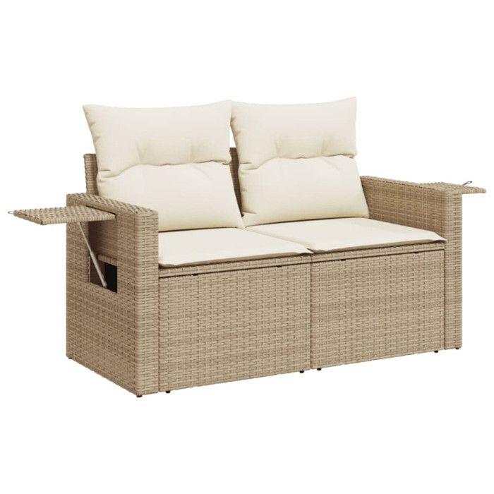VidaXL Garden Sofa with Cushions 2-seater Beige Braided Resin 366061