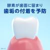 Clinica PRO Sensitive Toothpaste, Relax Mint, 95g + 1 Y-Shaped Floss [.co.jp Exclusive]