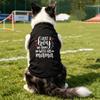 1pc Summer Thin Printed Pet T-shirt, Floral Letter Printed Soft and Breathable Cat and Dog Vest