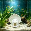 Vissen en zeedieren – Aquarium decoratie