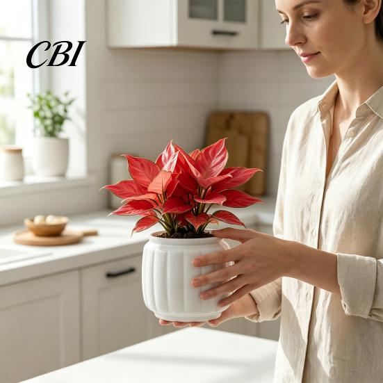 Large Planter Pot Self Watering Pots for Indoor Plants, Plastic with Drainage Hydroponic Plant Vase Holes, Small Flower Houseplants, African Violets,