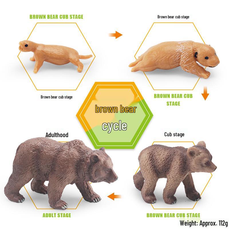 Animal Growth Cycle Models: Chicken, Duck, Goose, Butterfly, Turtle, Frog Montessori Teaching Figurines