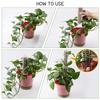 Moss Pillar Moss Scaffold Plant Climbing Stereotype Column High Quality Plant Climbing Fixed Column