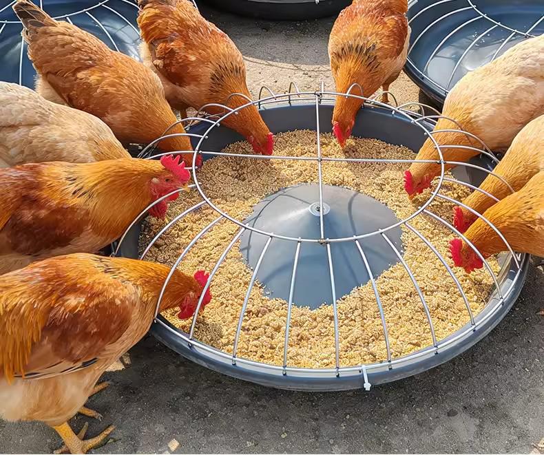 Farm Multi-Hole Feeding Trough for Chickens, Ducks, and Geese - 50cm/60cm Durable Food Basin