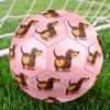 1pc Love Dog Heart Theme Soccer Ball Football, Size 5, Lightweight PVC, Outdoor Training Soccer Ball,Gift J61412