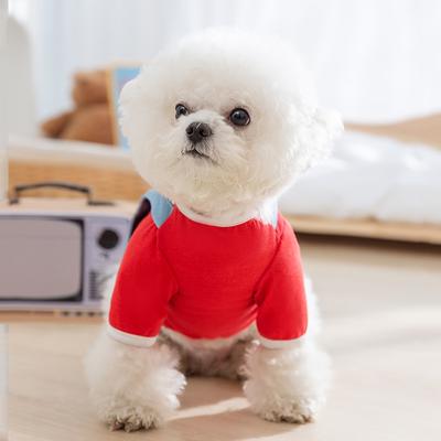 Denim Fake Two-piece Dog Clothes Can Tow Teddy Bear Small Dog Spring and Summer T-shirt Pet Bipedal Clothing