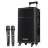 SANSUI TE12 High-Power Outdoor Trolley Speaker with Dual Mics (CN Version)