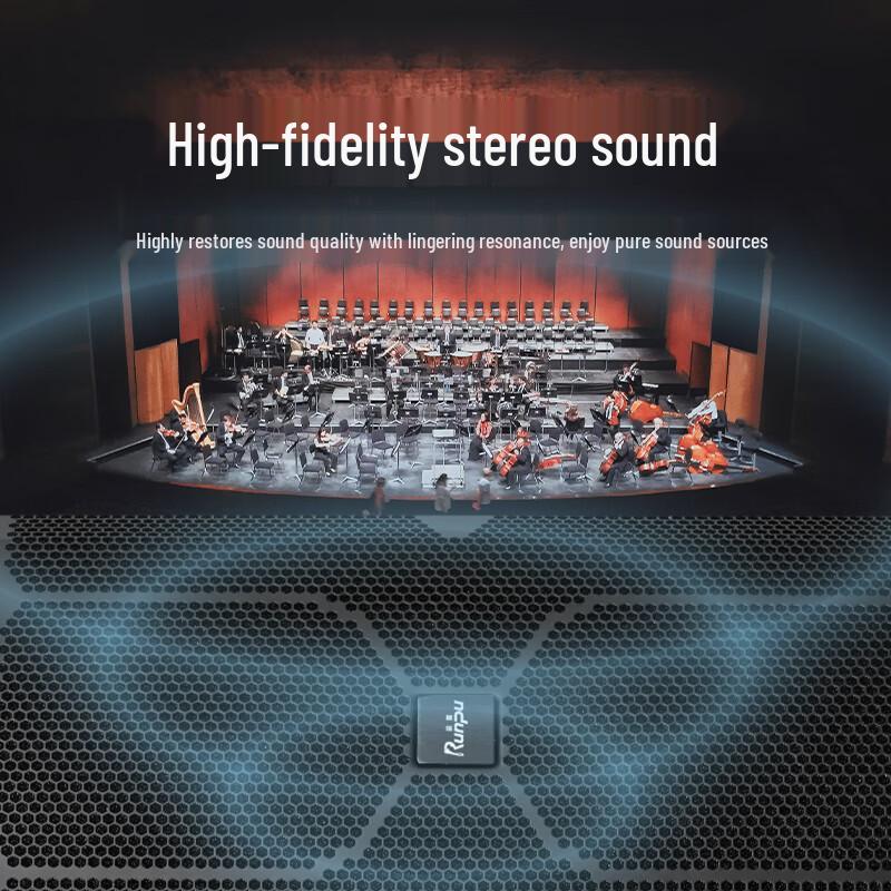 Runpu Professional Dual 10-inch Passive Conference Speaker (CN version)