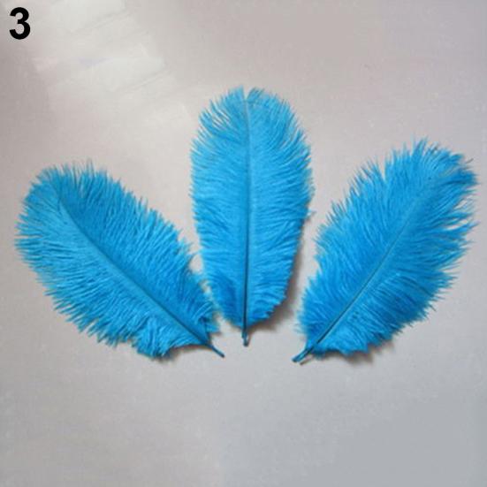 15 Pcs Natural Ostrich Feathers Colored Soft Feather for Clothes Wedding Decor