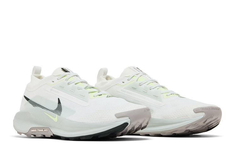 Nike Pegasus Trail 5 Gore-Tex Summit White Light Silver College Grey