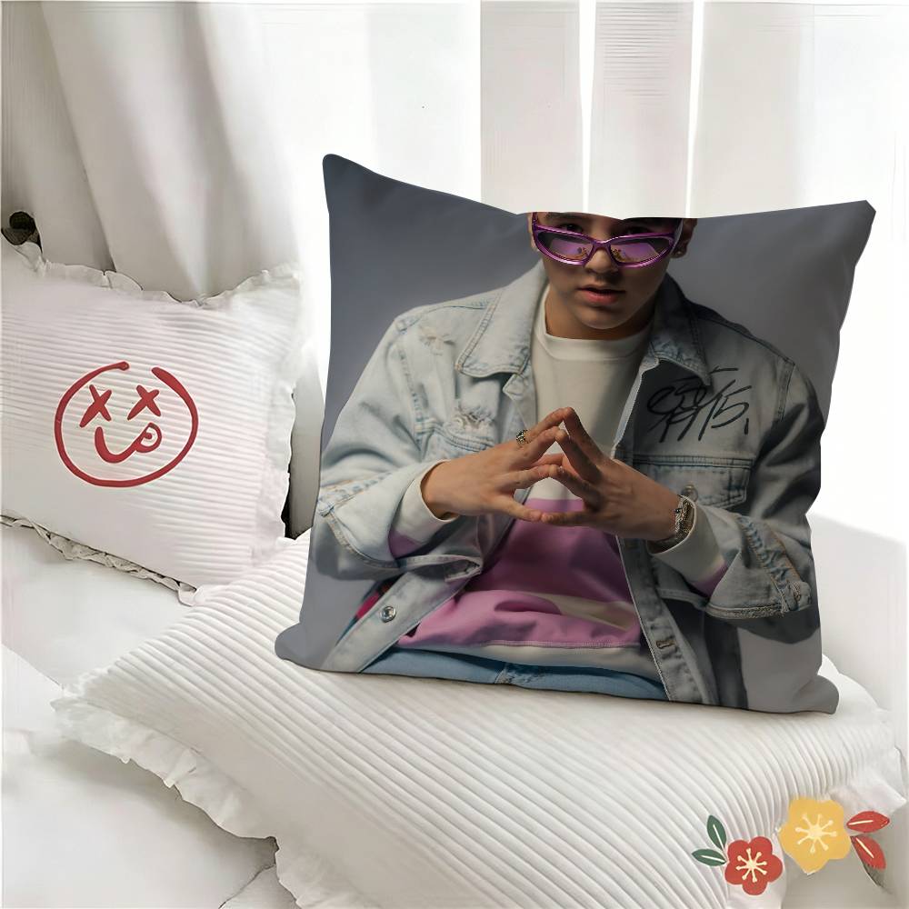 Pc Singer Xxavi Pillow Case Fashion Square Pillowcase Bedroom Sofa Room Ins Decoration Leisure