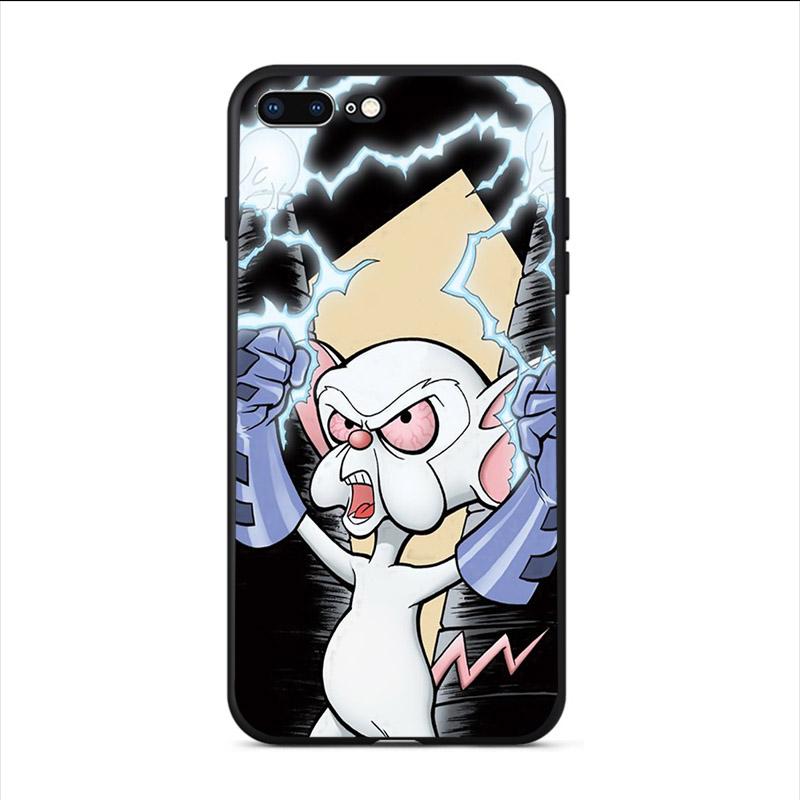High Quality Phone TPU Case Cartoon TV Series Pinky and the Brain For iPhone 5 5S SE 2020 6 6s 7 8 Plus X XR XS MAX 11 11Pro Max