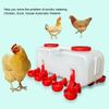 Poultry Waterer Leakproof Automatic Chicken Waterer Sturdy PP Hygeian Ergonomic Grip Self Filling with 10 Waterer Cups for Farm