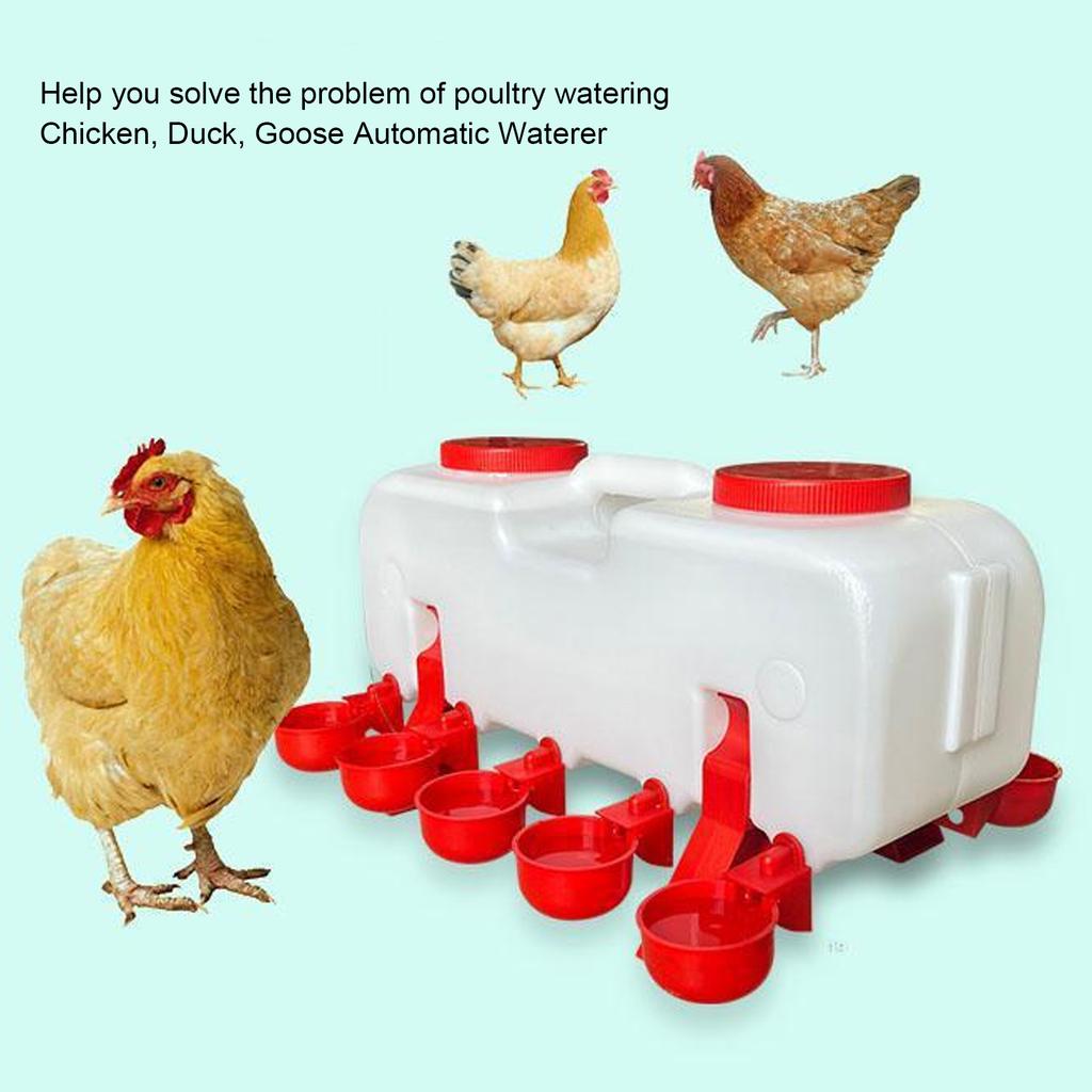 Poultry Waterer Leakproof Automatic Chicken Waterer Sturdy PP Hygeian Ergonomic Grip Self Filling with 10 Waterer Cups for Farm
