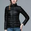 Korean Style Plus Size Womens Down Jacket Lightweight Slim Fit Stand Collar Short Autumn Winter Coat