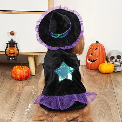 Transformační šaty pro mazlíčky, halloweenské oblečení pro psy s špičatým kloboukem, oblečení pro mazlíčky, kočky, plášť pro psy, vánoční sada, šaty pro psy pro malé psy