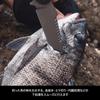 DRESS Titanium Coated Fishing Knife G10 Grip Kydex Sheath 4mm Thickness