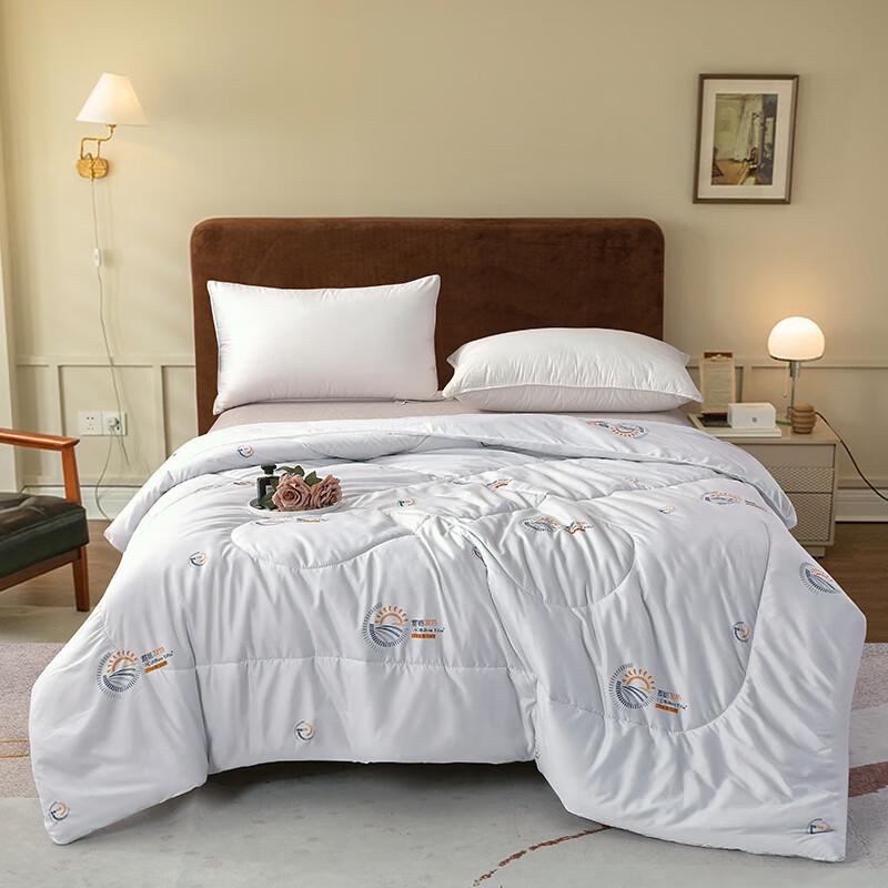 

Dream Circle Skin-friendly Warm Winter Quilt