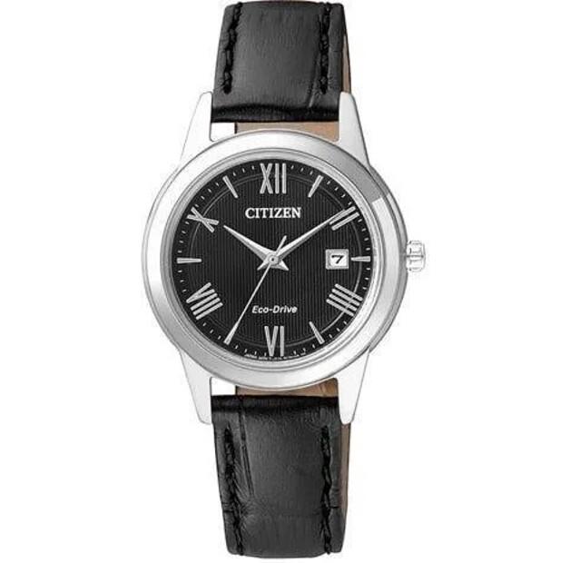 Citizen Eco-Drive FE1081-08E Watch