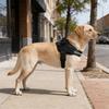 Anti Pull Harness Adjustable Reflective Breathable Tactical Vest for Small and Large Dogs Outdoor Training