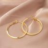 European American Style Luxury Stud Earrings: Elegant Cross-border Niche Hoops, Versatile Celebrity-inspired Accessories